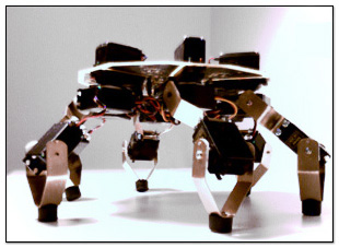 Symapod: 6 legged hexapod walker